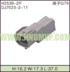 JP-H2539-2P